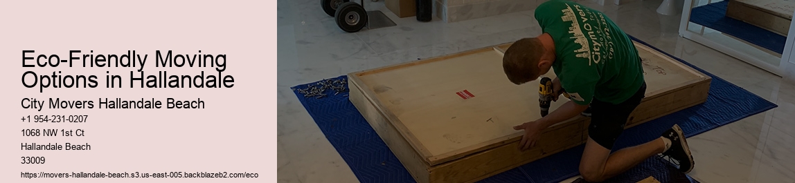 Eco-Friendly Moving Options in Hallandale