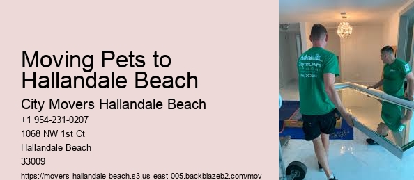 Moving Pets to Hallandale Beach